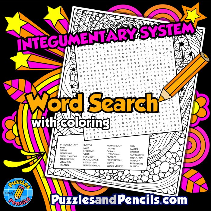 Integumentary system word search answer key