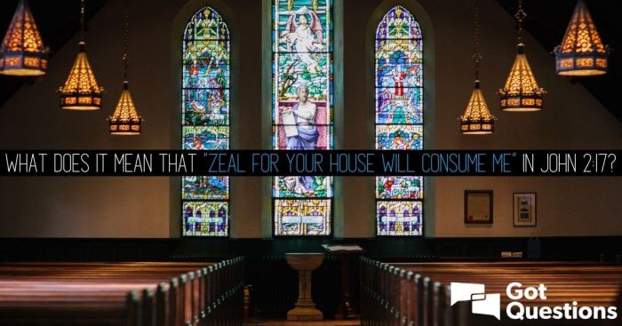 Zeal for your house will consume me meaning