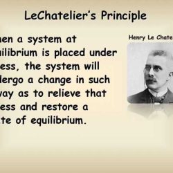 Applications of le chatelier's principle lab answers